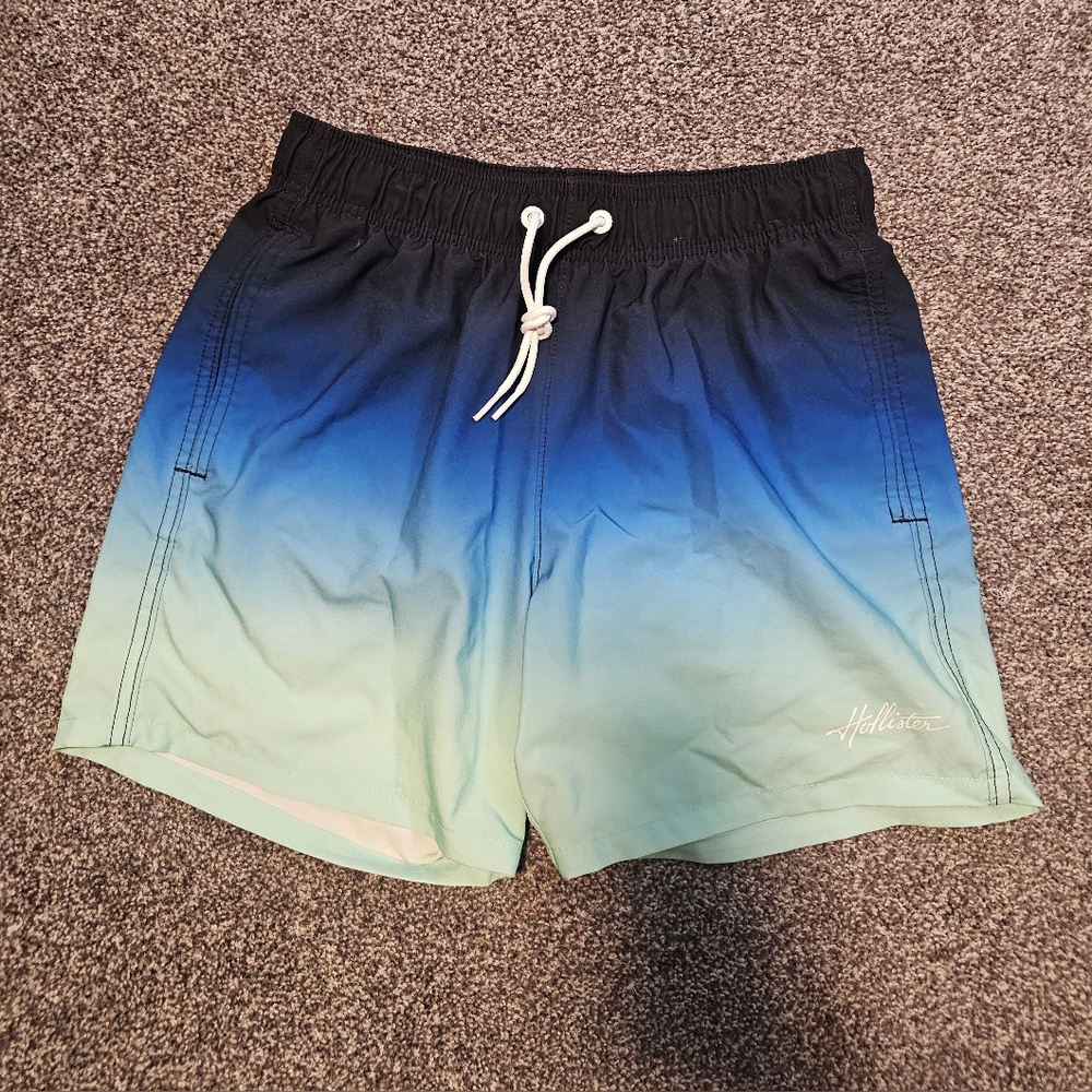 Hollister Swim Shorts